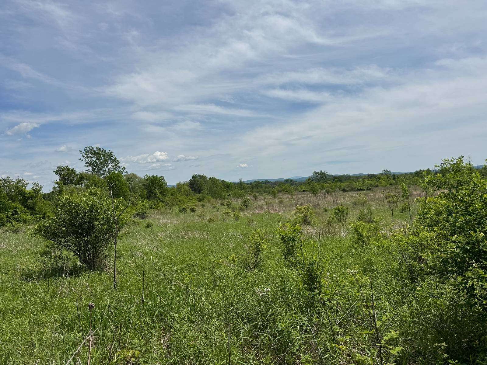 40 Acres of Land for Sale in Kingsbury, New York