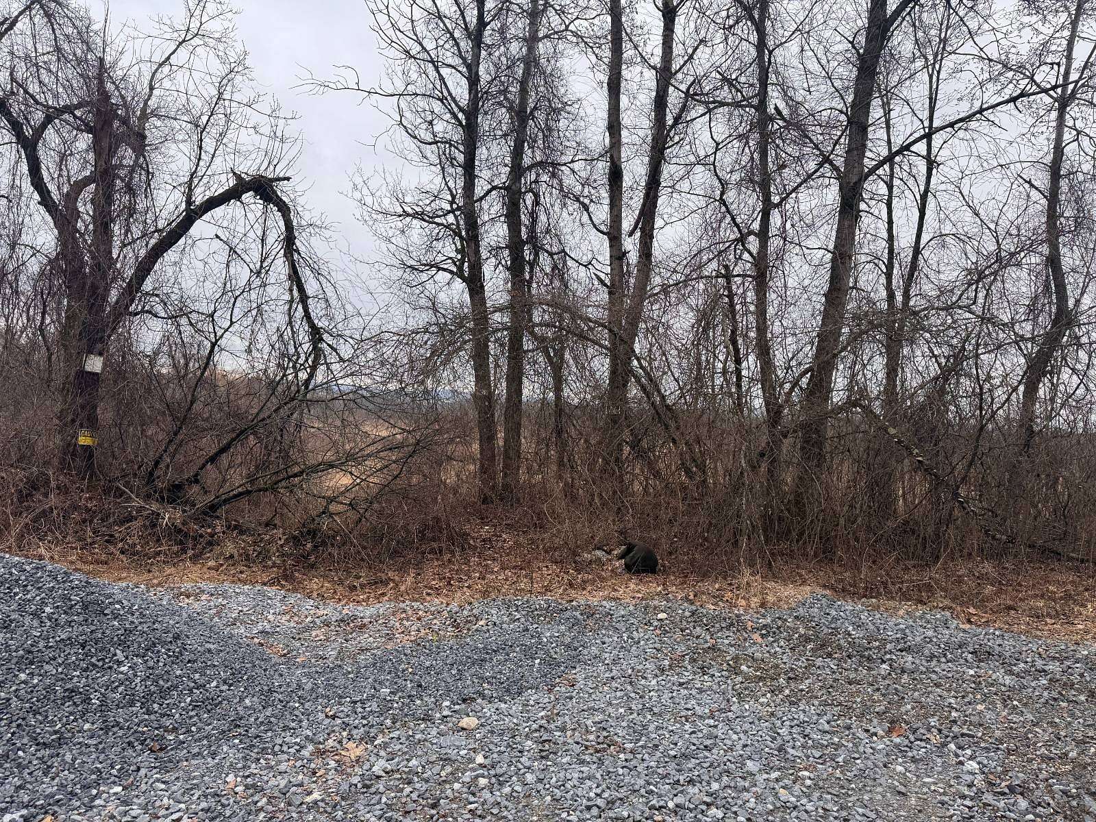 40 Acres of Land for Sale in Kingsbury, New York