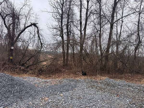 40 Acres of Land for Sale in Kingsbury, New York