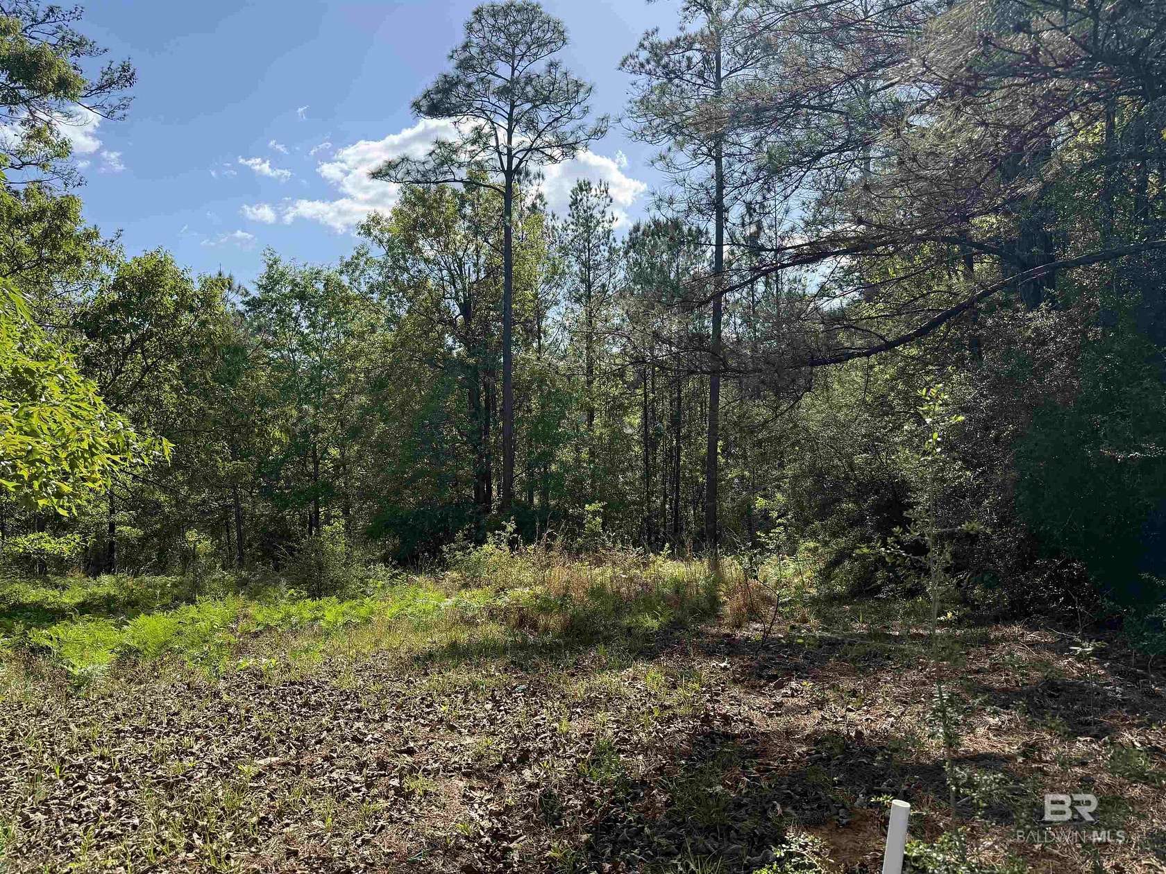 0.8 Acres of Residential Land for Sale in Brewton, Alabama