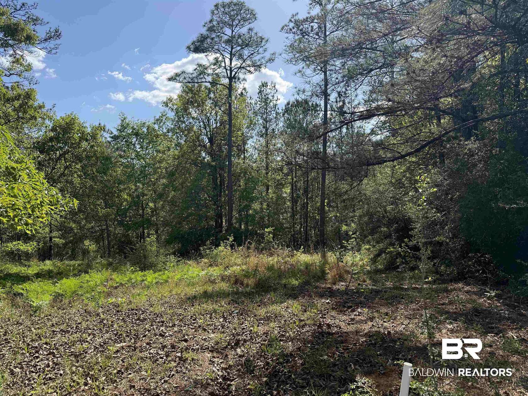 0.8 Acres of Residential Land for Sale in Brewton, Alabama