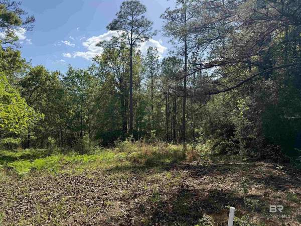 0.8 Acres of Residential Land for Sale in Brewton, Alabama