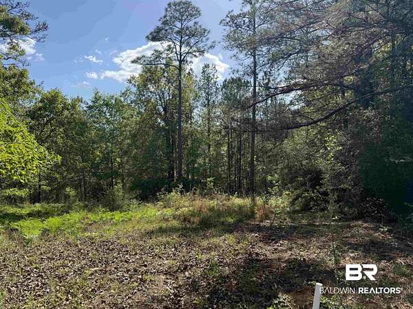 0.8 Acres of Residential Land for Sale in Brewton, Alabama