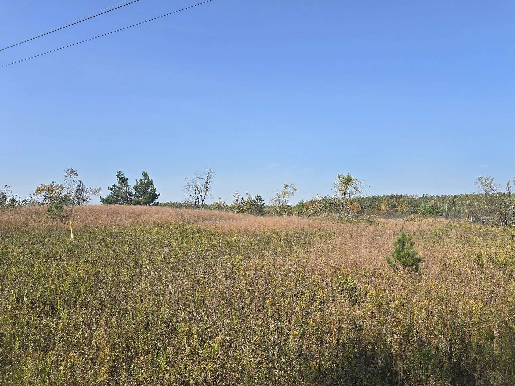 21.6 Acres of Recreational Land for Sale in Johannesburg, Michigan