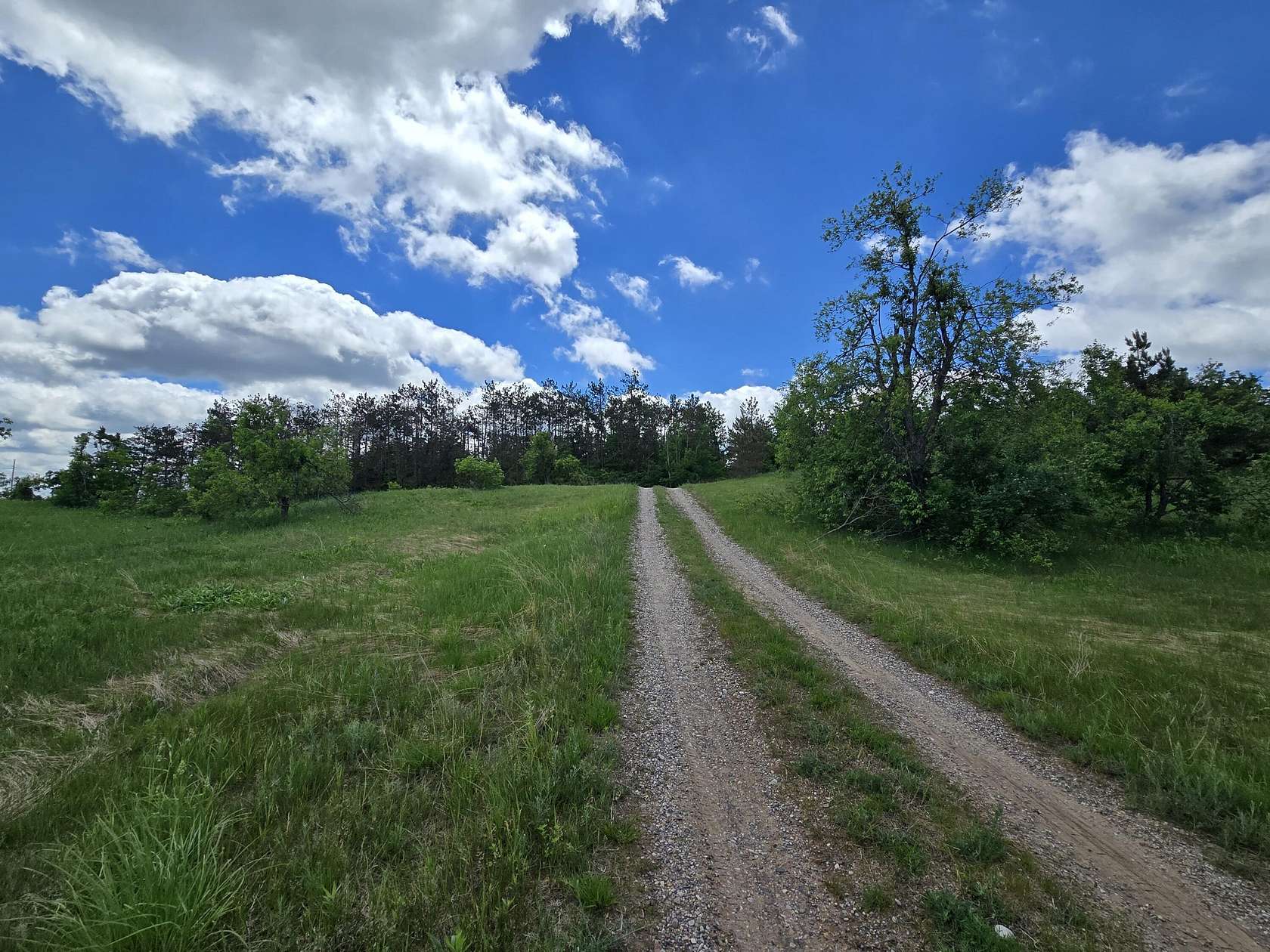 21.6 Acres of Recreational Land for Sale in Johannesburg, Michigan