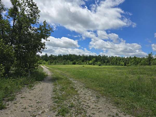 21.6 Acres of Recreational Land for Sale in Johannesburg, Michigan