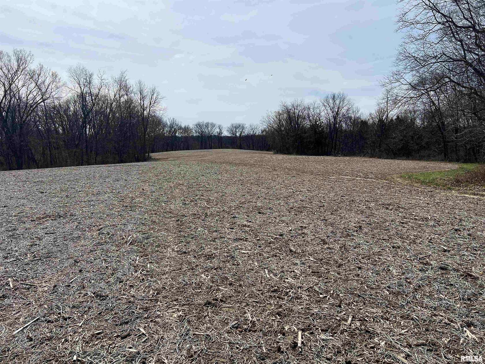 80 Acres of Agricultural Land for Sale in Marietta, Illinois