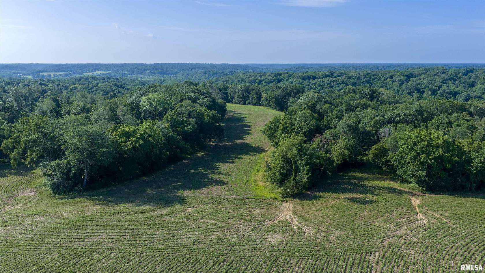 80 Acres of Agricultural Land for Sale in Marietta, Illinois
