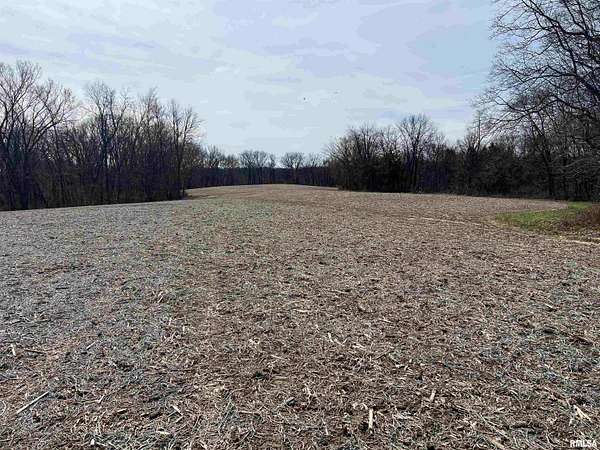 80 Acres of Agricultural Land for Sale in Marietta, Illinois