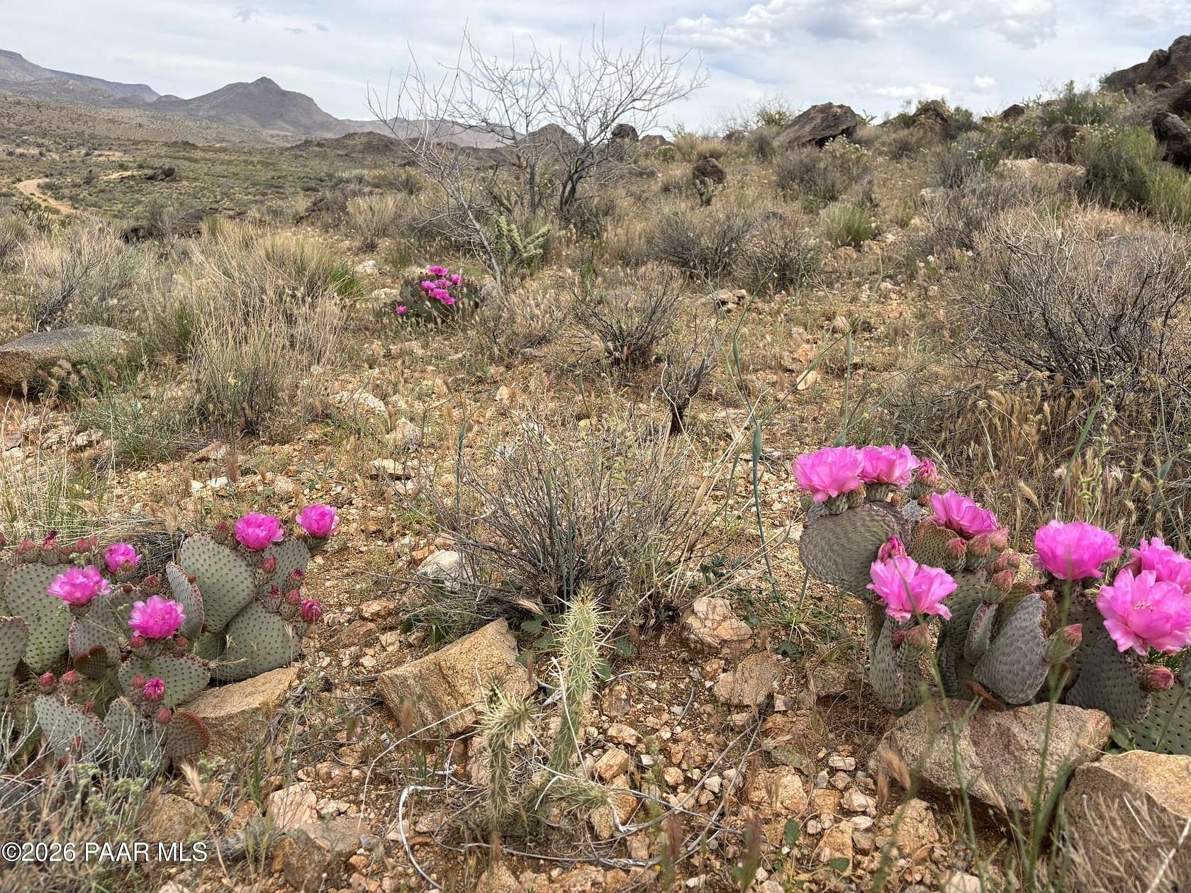 320 Acres of Recreational & Residential Land for Sale in Kingman, Arizona
