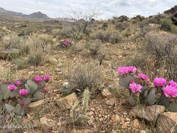320 Acres of Recreational & Residential Land for Sale in Kingman, Arizona