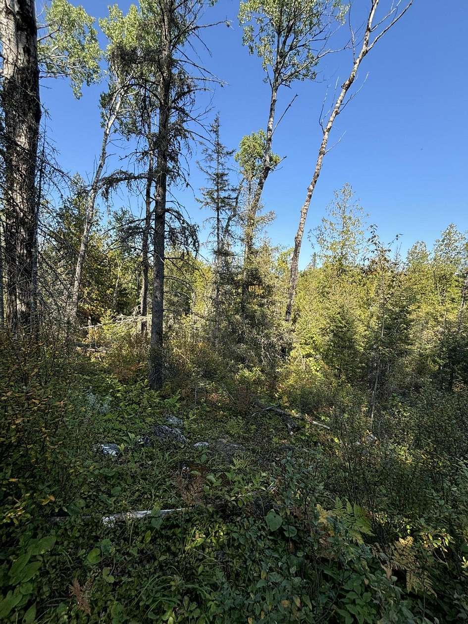 9 Acres of Land for Sale in Hessel, Michigan