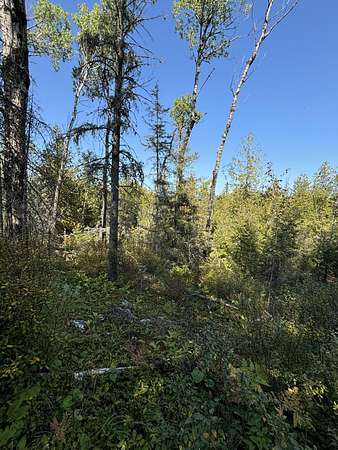 9 Acres of Land for Sale in Hessel, Michigan