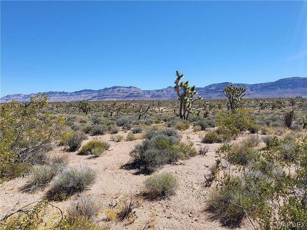 5 Acres of Land for Sale in Meadview, Arizona