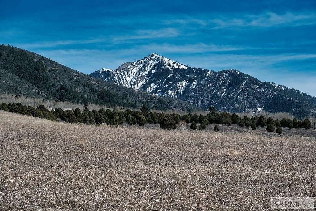 3.8 Acres of Residential Land for Sale in Irwin, Idaho