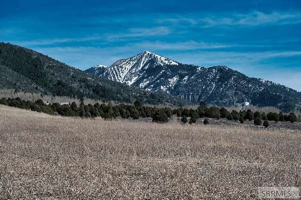 3.8 Acres of Residential Land for Sale in Irwin, Idaho