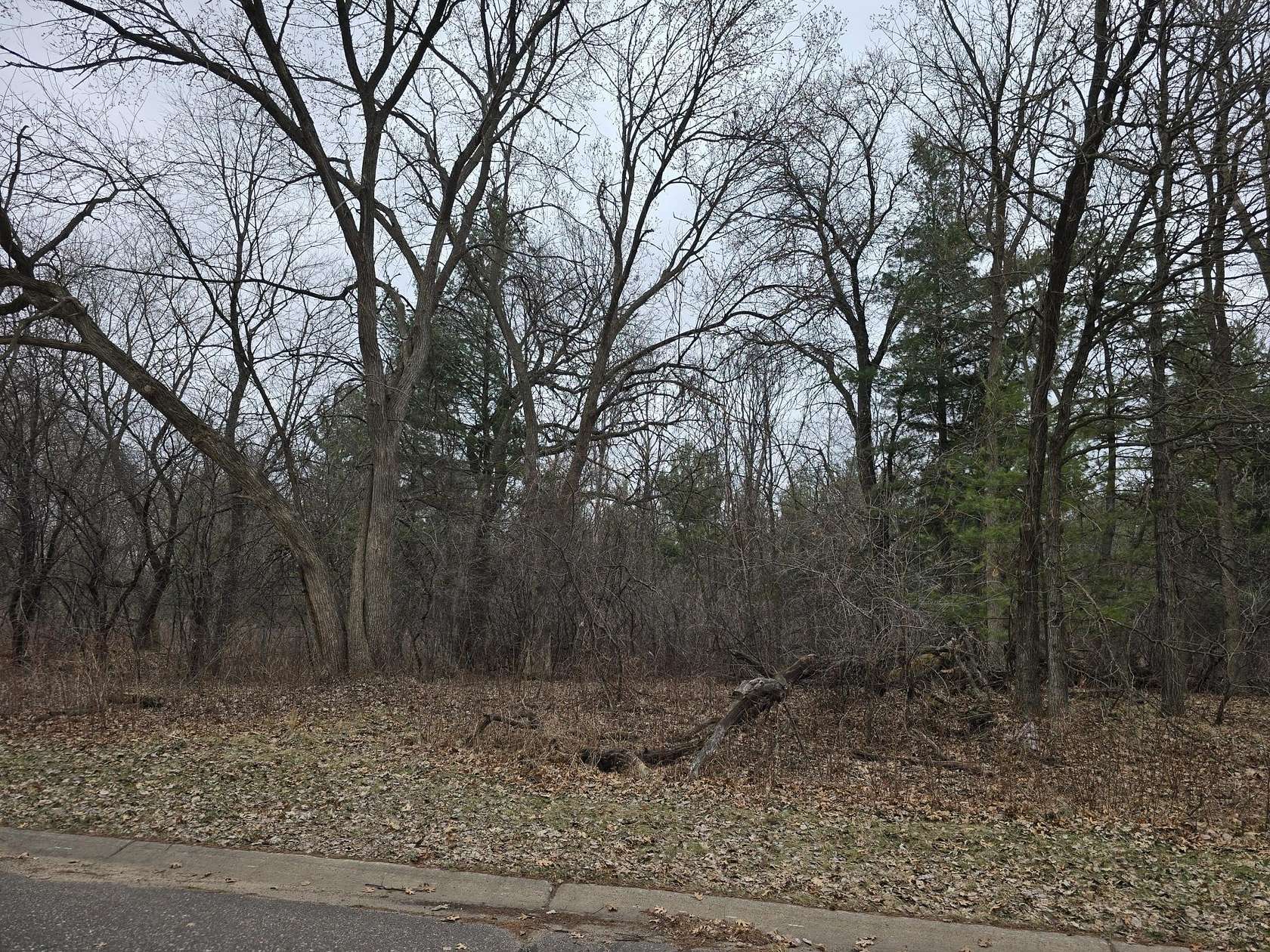 0.57 Acres of Land for Sale in Zimmerman, Minnesota