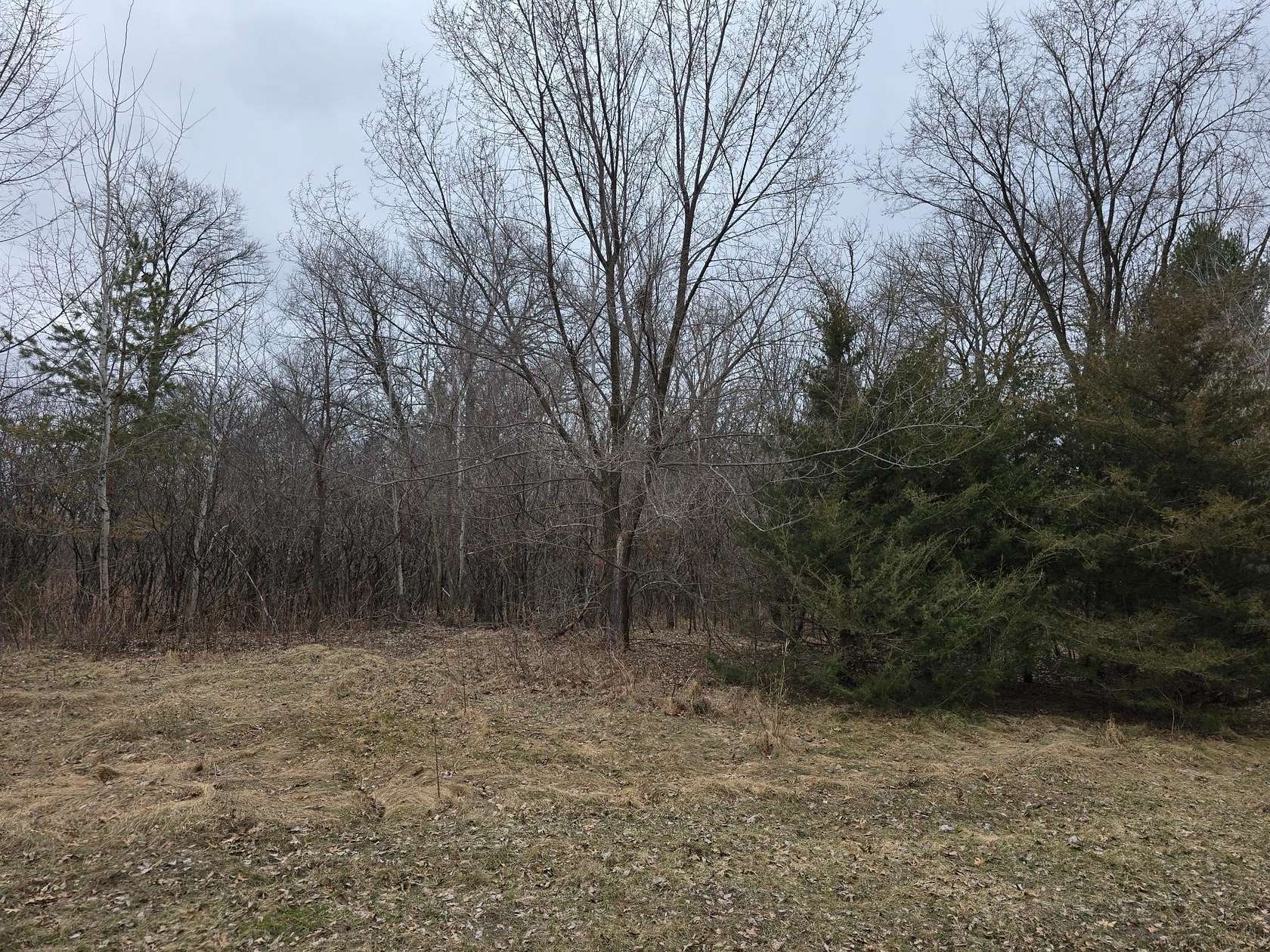 0.58 Acres of Land for Sale in Zimmerman, Minnesota