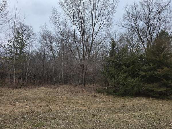 0.58 Acres of Land for Sale in Zimmerman, Minnesota