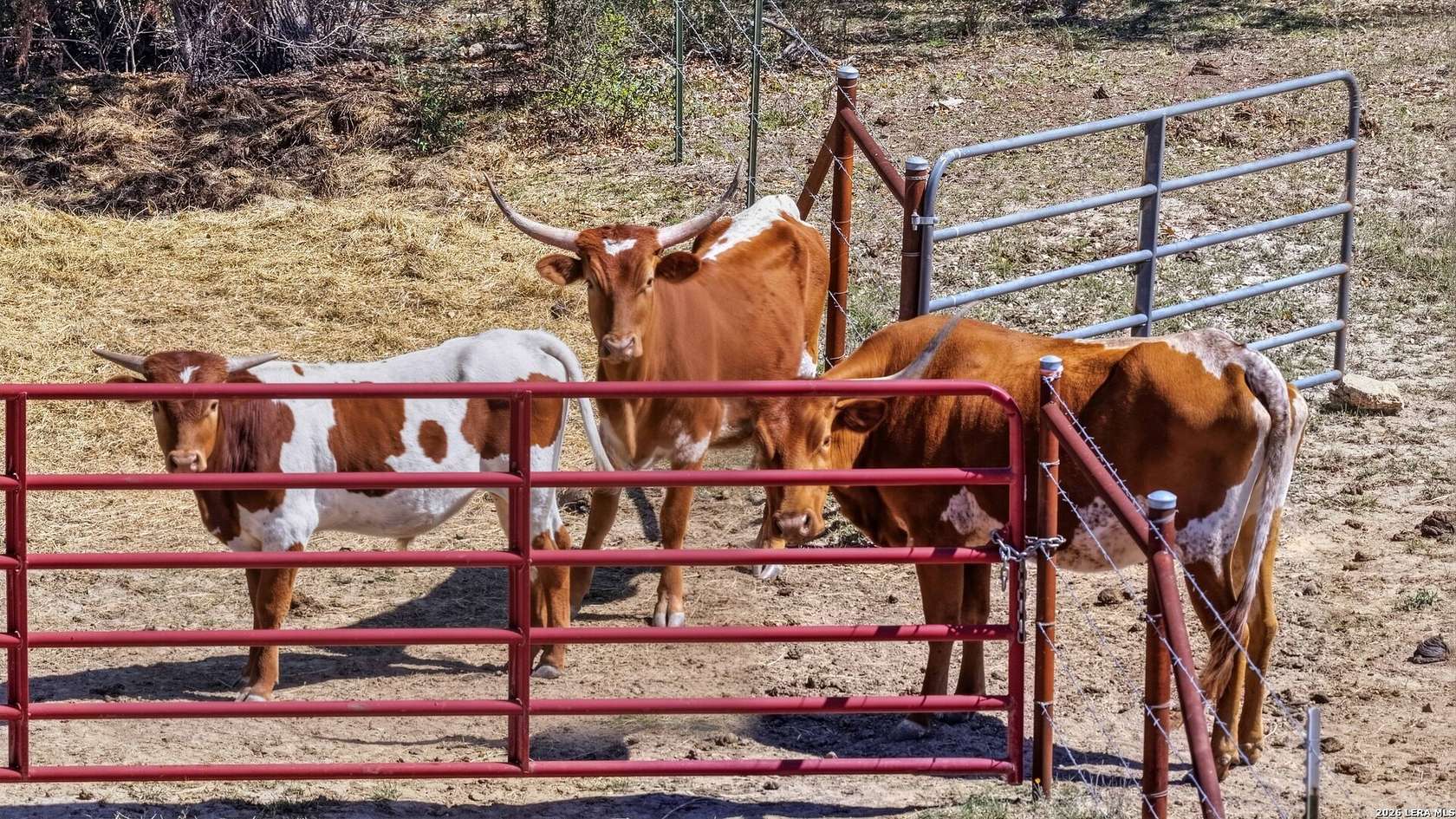 10 Acres of Recreational Land for Sale in Fischer, Texas