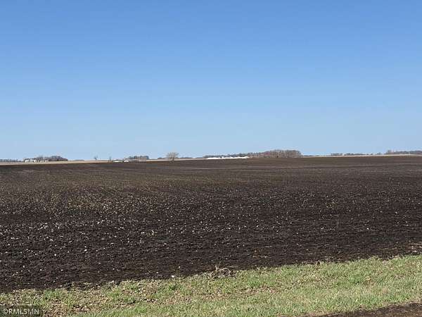 59.5 Acres of Agricultural Land for Sale in Hector, Minnesota
