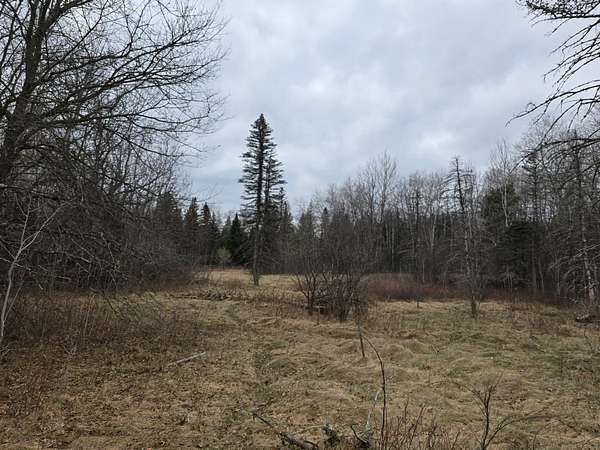 0.69 Acres of Land for Sale in Zimmerman, Minnesota