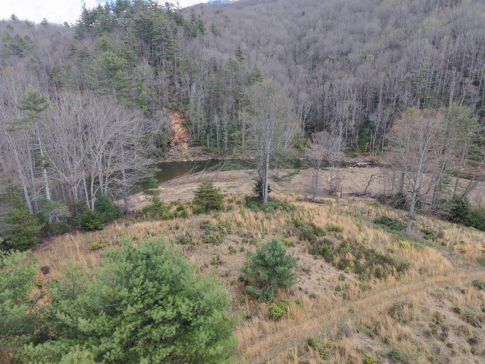 30 Acres of Recreational Land for Sale in Spruce Pine, North Carolina