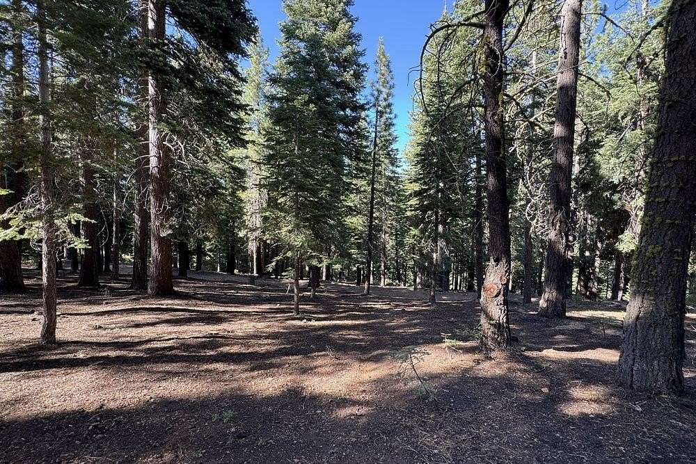 0.31 Acres of Residential Land for Sale in Truckee, California