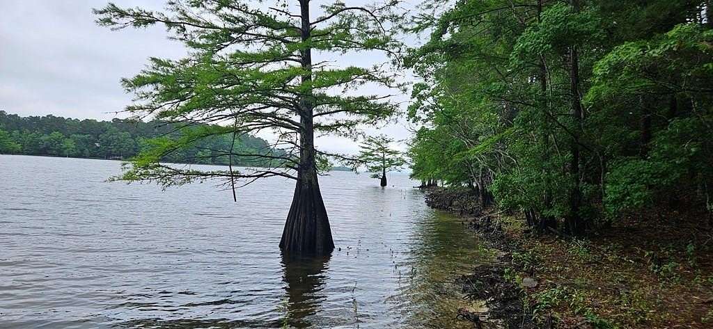 4.75 Acres of Land with Home for Sale in Hemphill, Texas