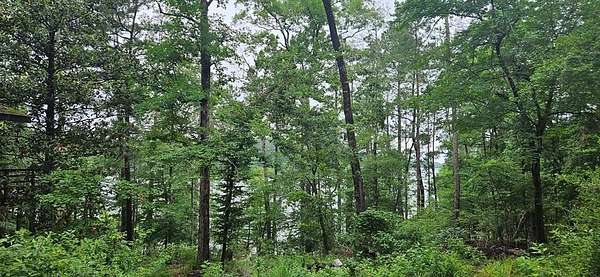 4.75 Acres of Land with Home for Sale in Hemphill, Texas