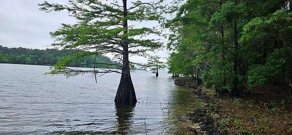 4.75 Acres of Land with Home for Sale in Hemphill, Texas