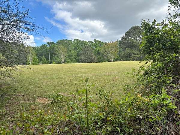 2.35 Acres of Residential Land for Sale in Carriere, Mississippi