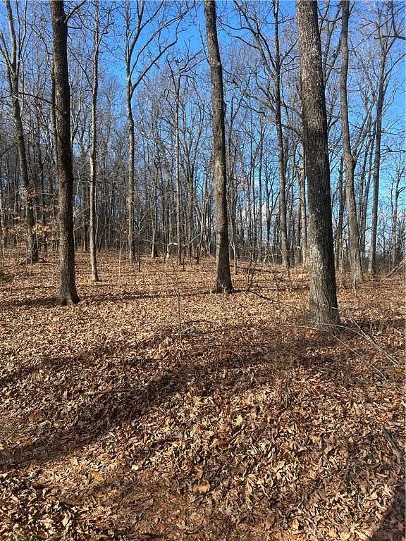 20 Acres of Recreational & Residential Land for Sale in Kingston, Arkansas