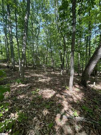 1.73 Acres of Residential Land for Sale in Taylors, South Carolina