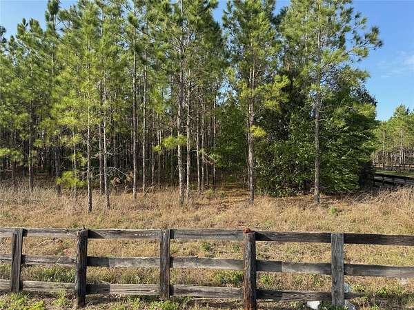 5.42 Acres of Residential Land for Sale in Eustis, Florida