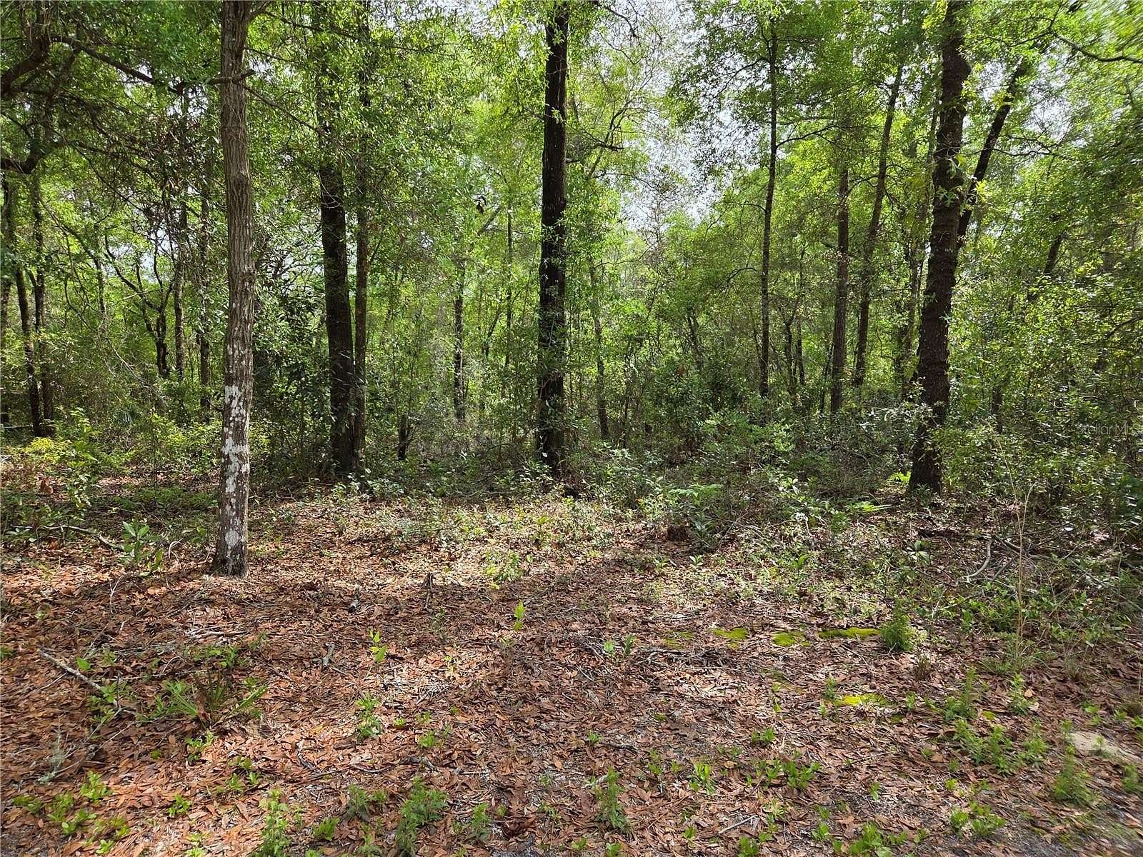 2.76 Acres of Residential Land for Sale in Chiefland, Florida