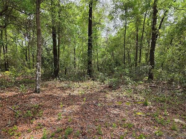 2.76 Acres of Residential Land for Sale in Chiefland, Florida