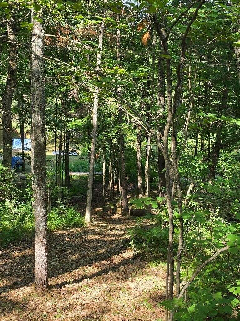 0.49 Acres of Land for Sale in Baldwin, Michigan