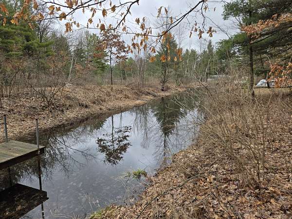 0.49 Acres of Land for Sale in Baldwin, Michigan