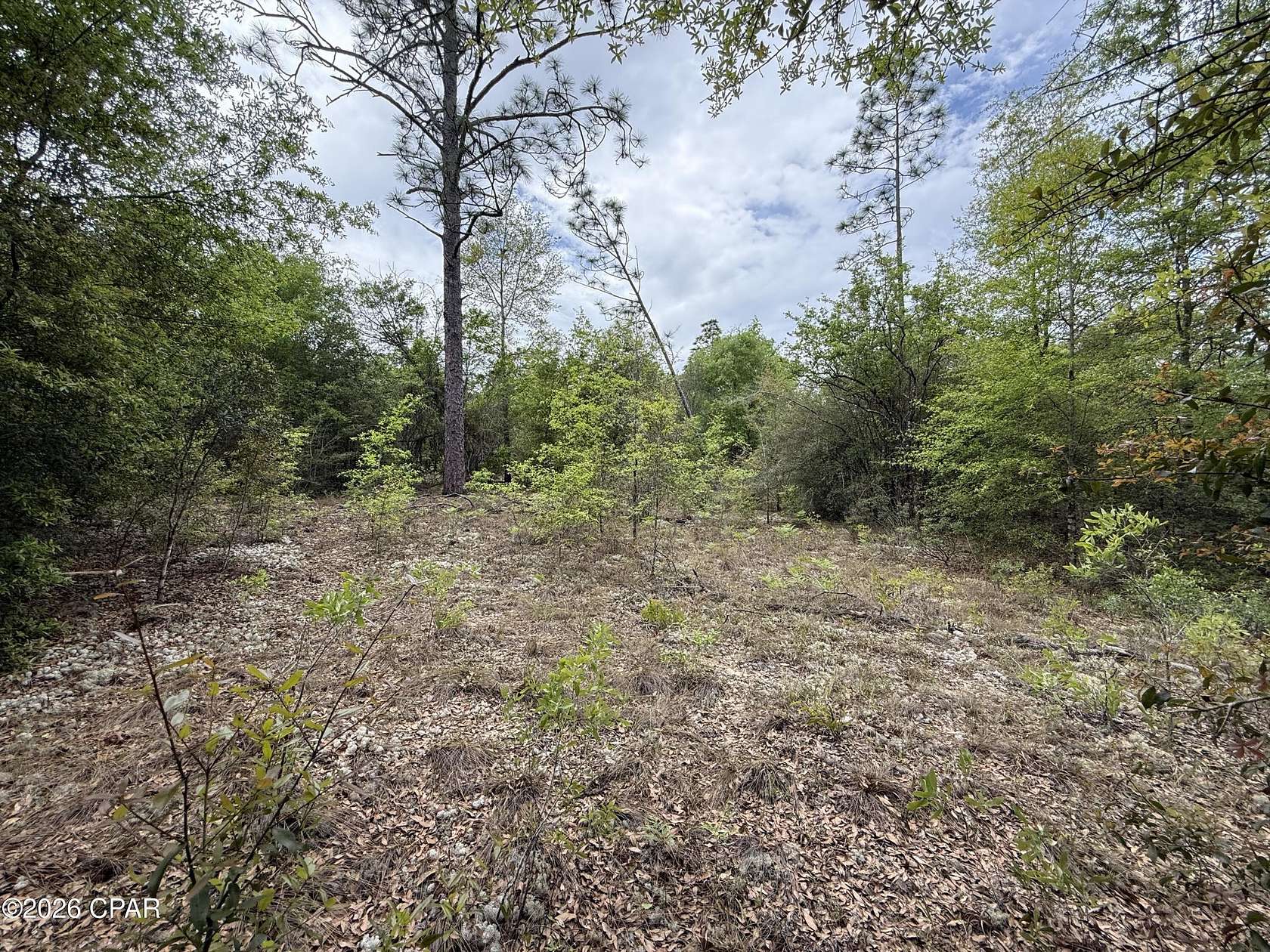 5 Acres of Residential Land for Sale in Fountain, Florida