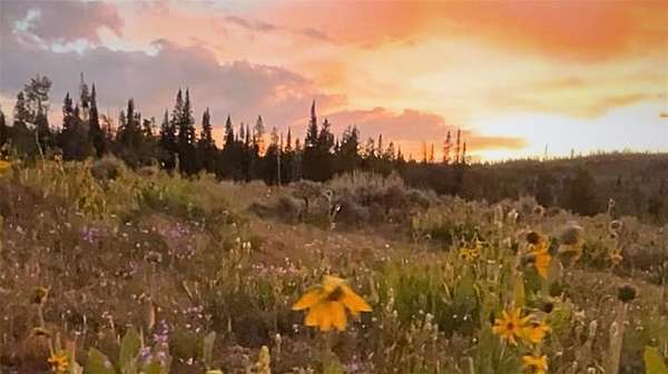 67.8 Acres of Recreational & Residential Land for Sale in Silverthorne, Colorado