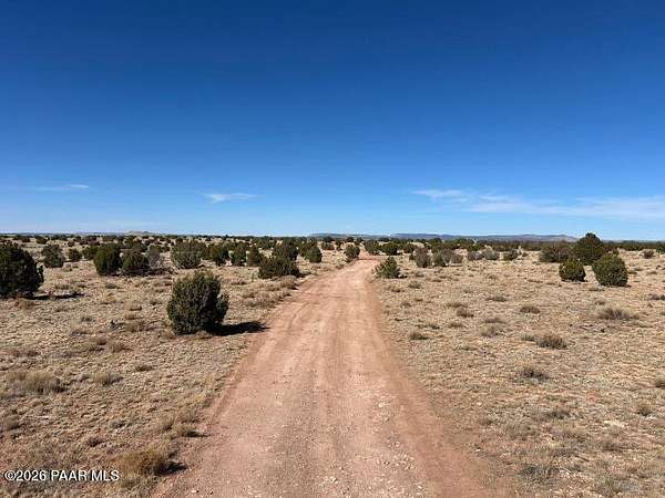 40 Acres of Land for Sale in Seligman, Arizona