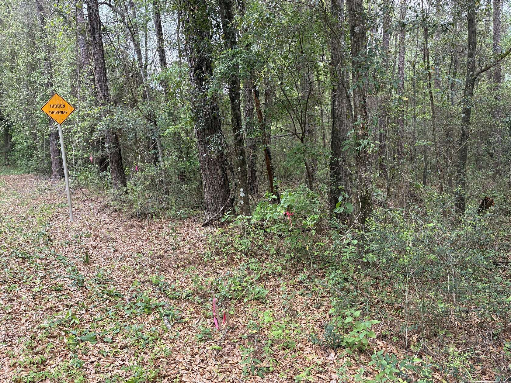 4.76 Acres of Residential Land for Sale in Ponce de Leon, Florida