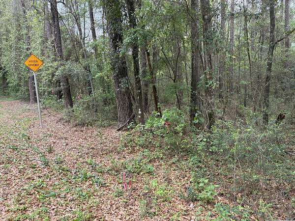 4.76 Acres of Residential Land for Sale in Ponce de Leon, Florida