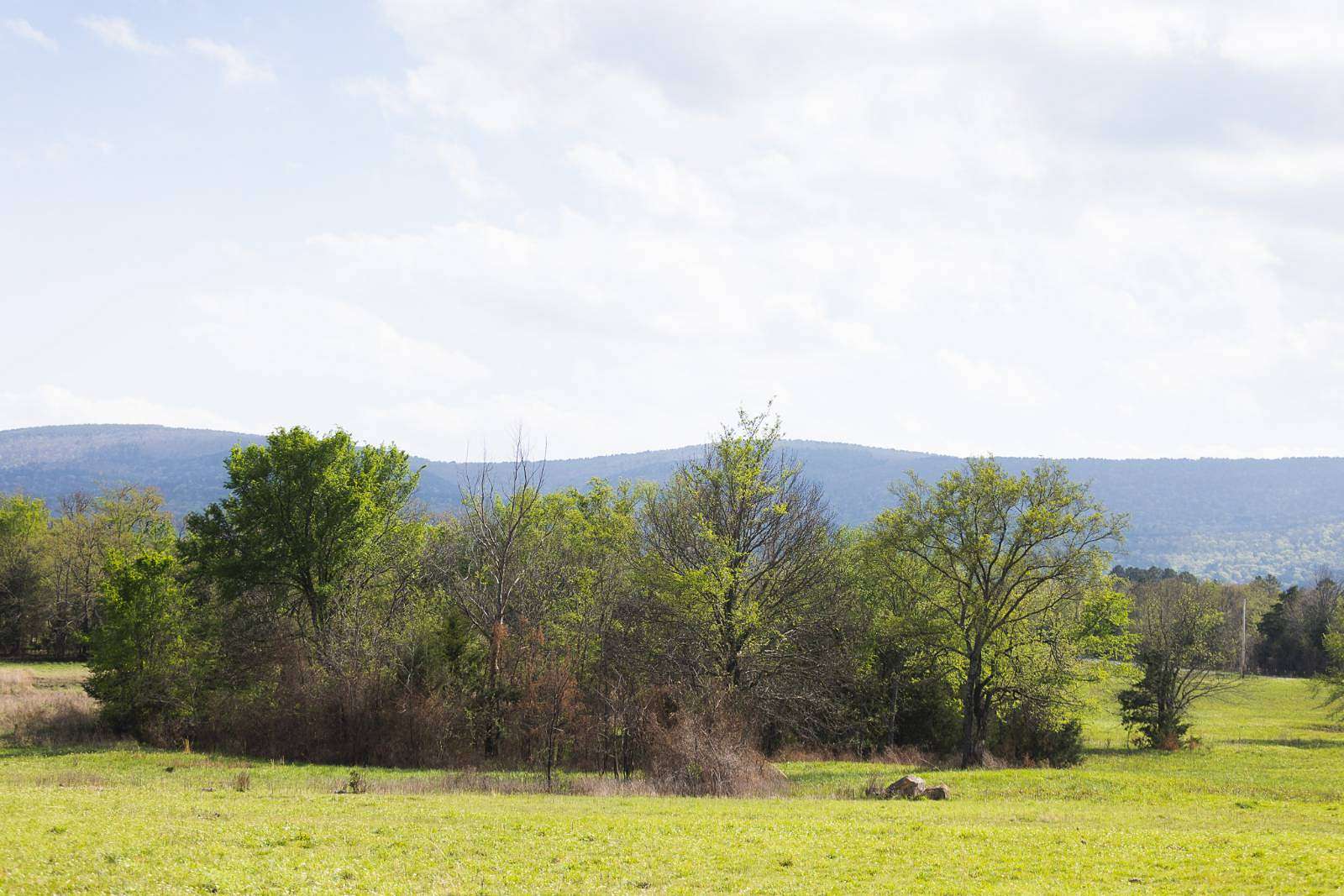 120 Acres of Land for Sale in Albion, Oklahoma