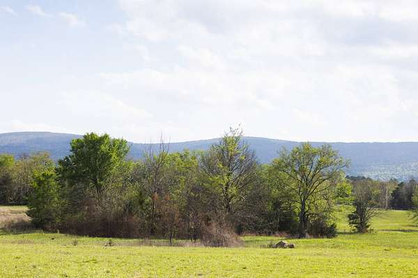 120 Acres of Land for Sale in Albion, Oklahoma