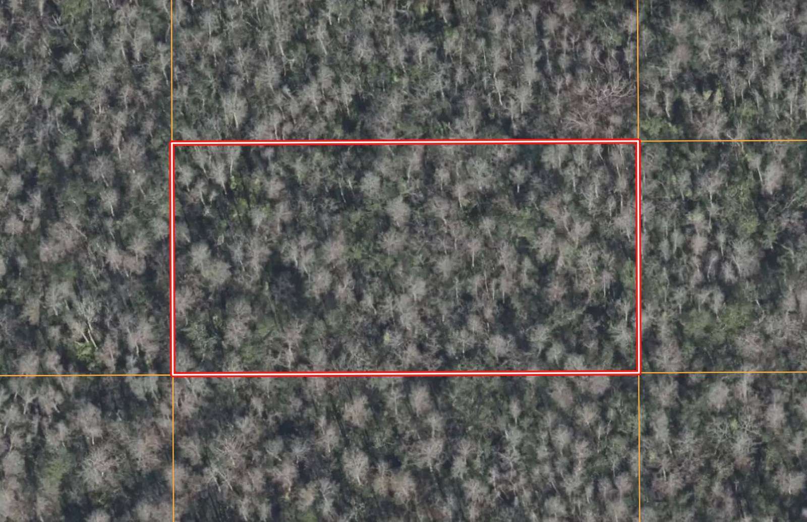 1.27 Acres of Land for Sale in St. Cloud, Florida