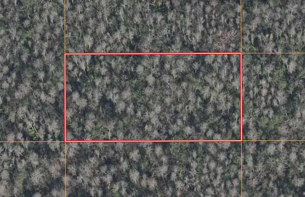 1.27 Acres of Land for Sale in St. Cloud, Florida