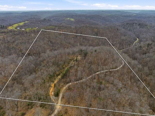 37.4 Acres of Recreational & Residential Land for Sale in Lesage, West Virginia