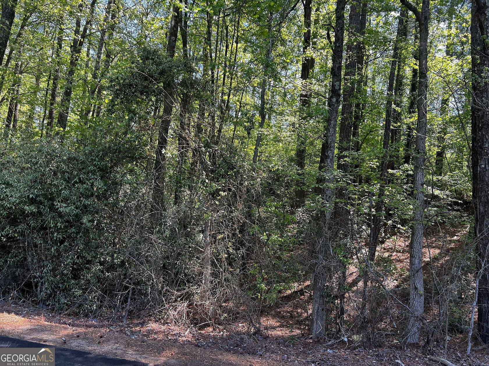 1 Acre of Land for Sale in Rome, Georgia